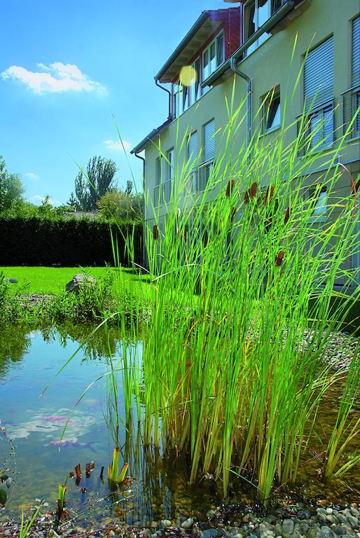Landhotel Altes Wasserwerk Gbr Freinsheim Ngoại thất bức ảnh